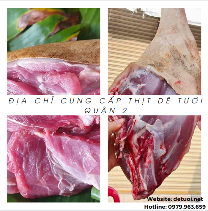 Địa chỉ cung cấp dê tươi Quận 2