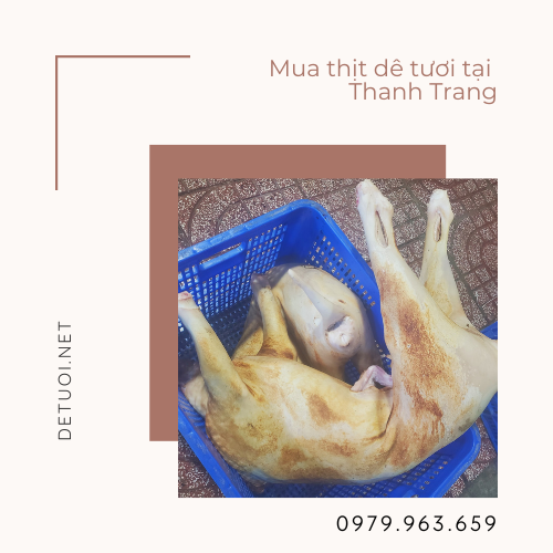 Mua thịt dê tươi tại Thanh Trang